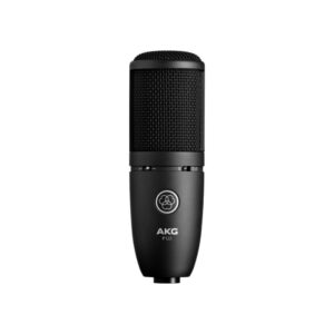 AKG P120 Condenser Microphone