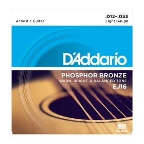 D’Addario EJ16