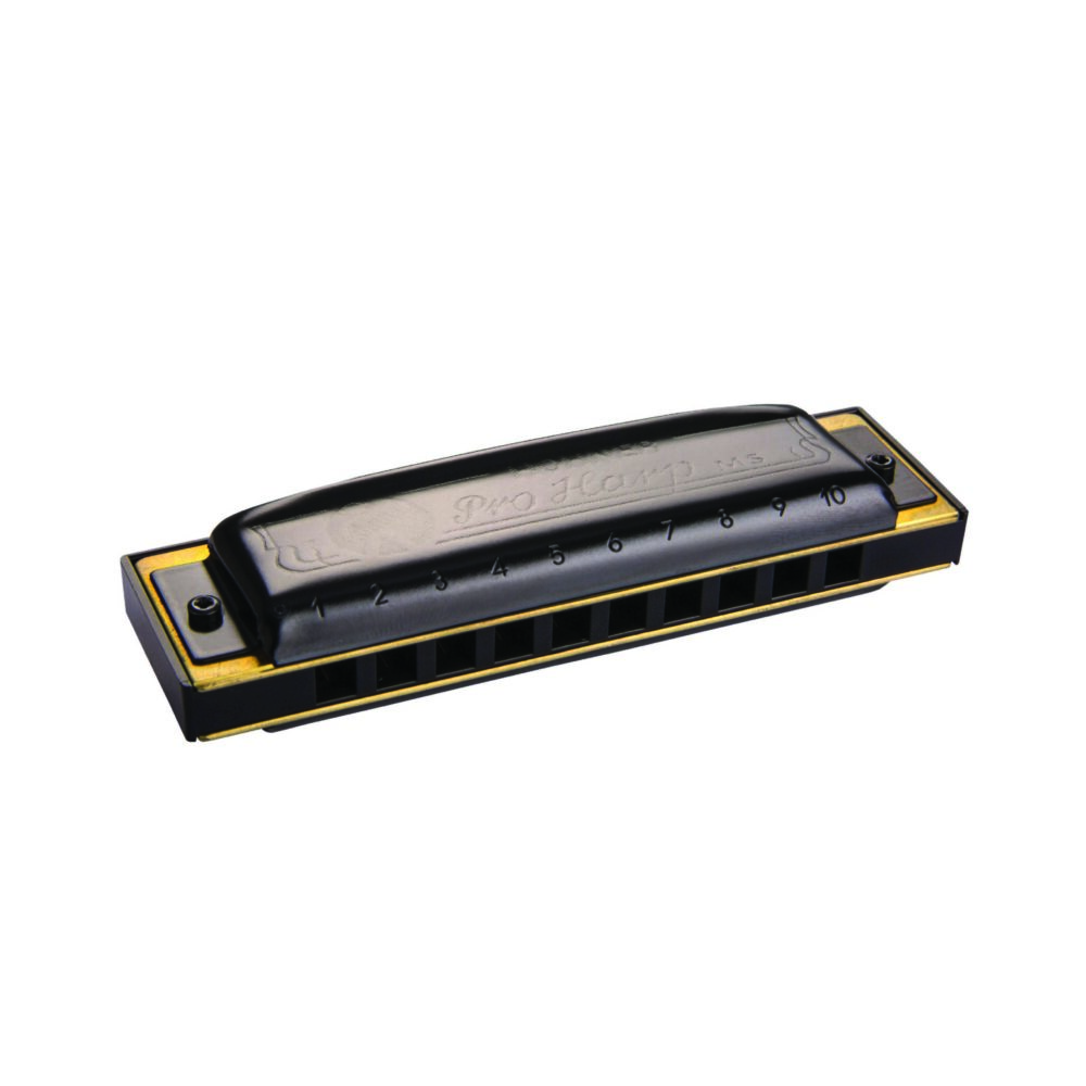 Hohner Pro Harp