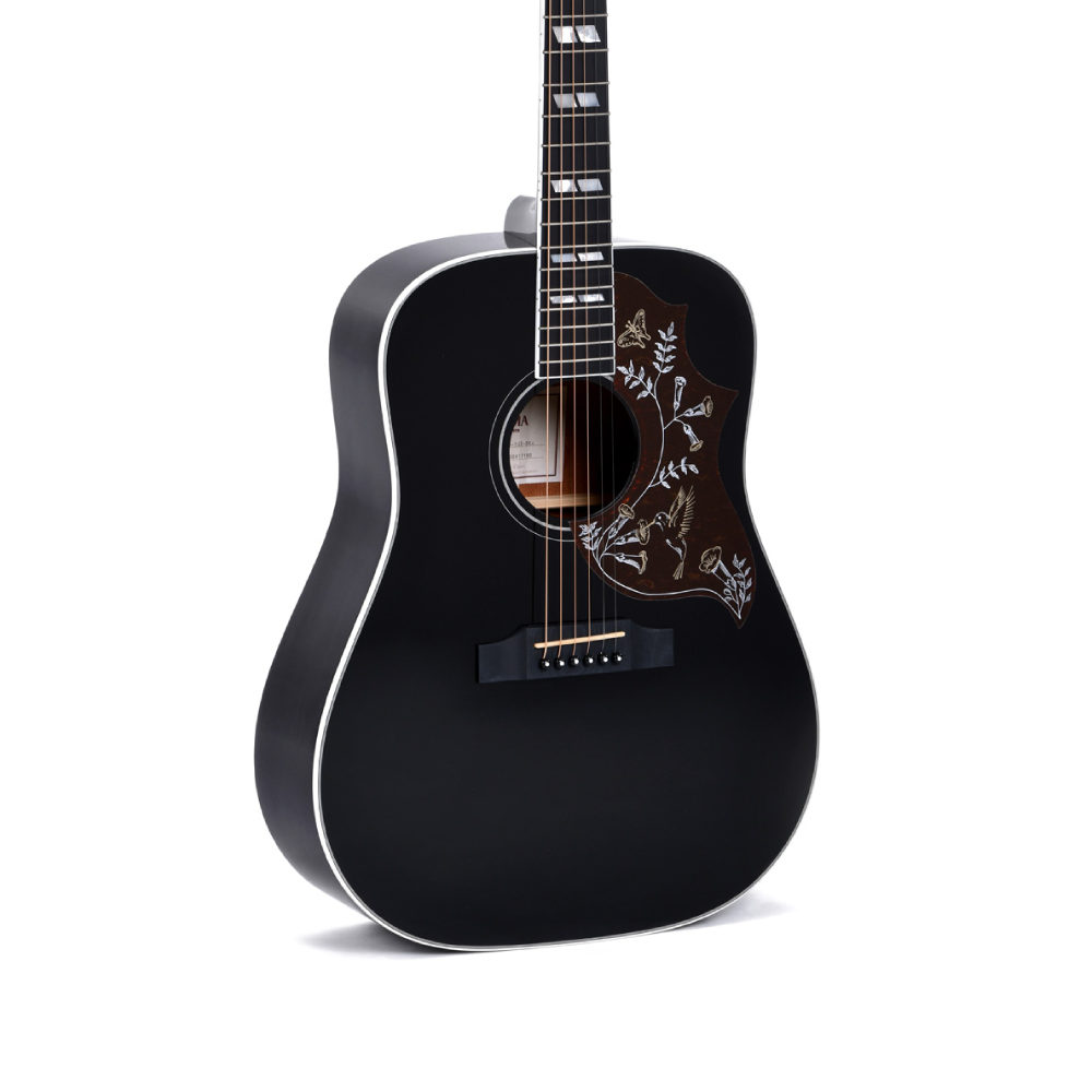 Sigma DM-SG5-BK (with soft case)