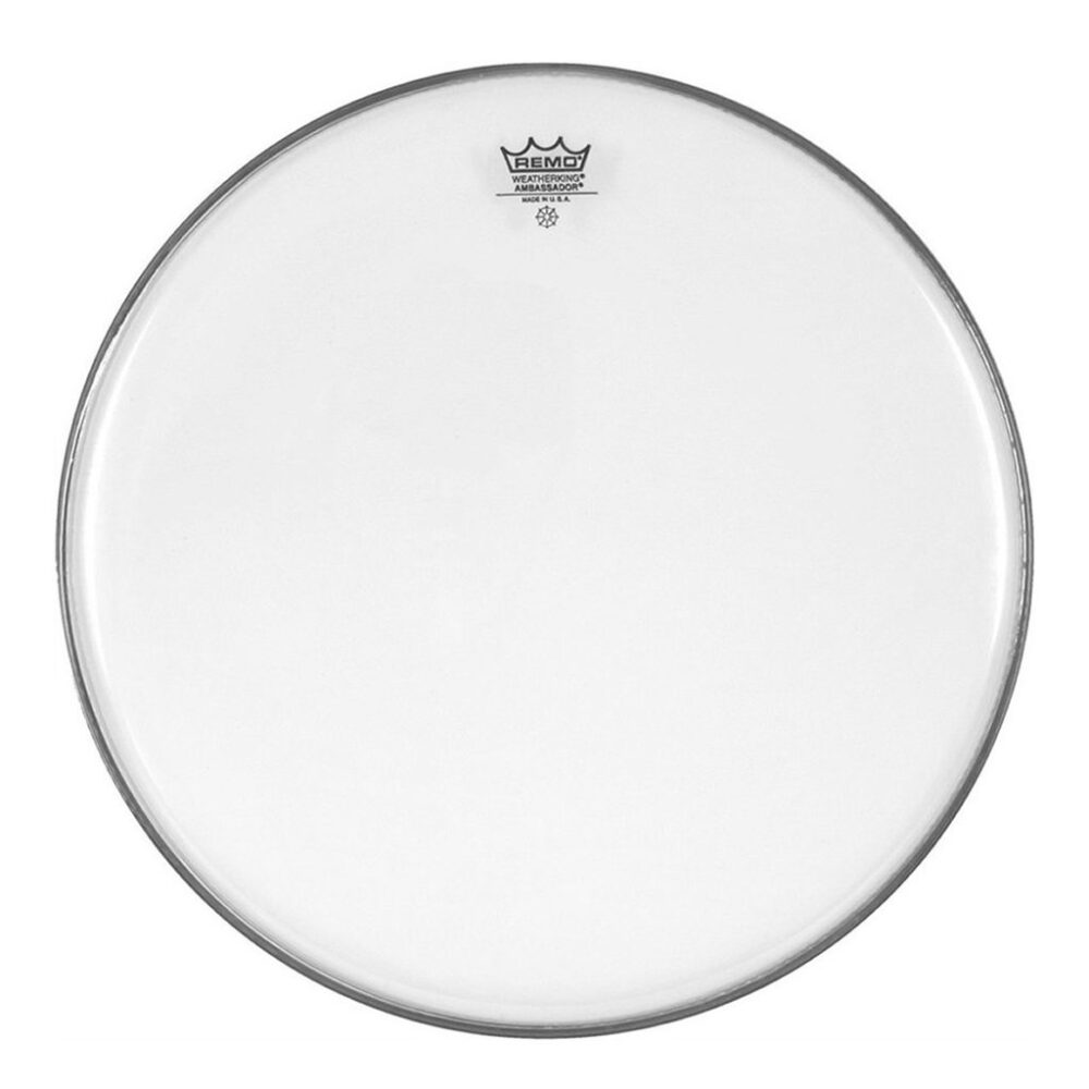 RemoAmbassedor10Inch