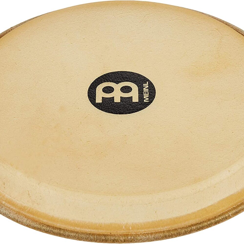 MeinlHeadliner11conga