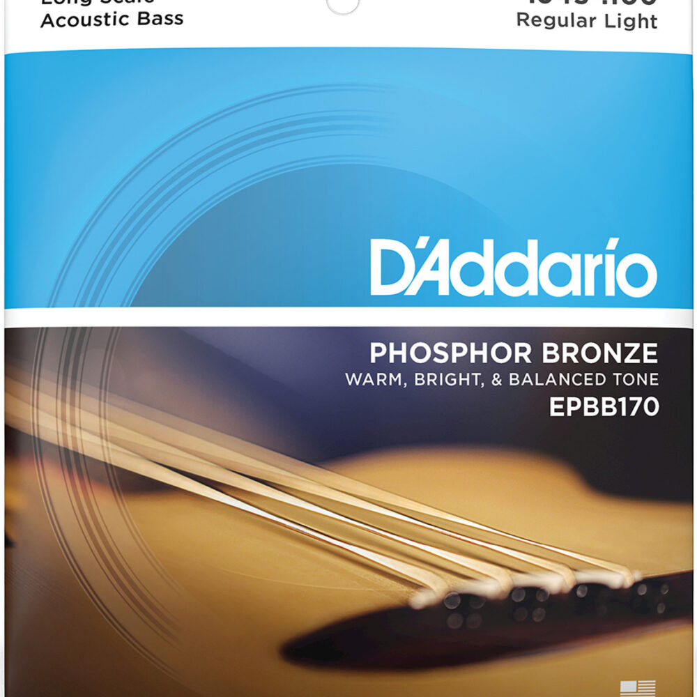 D`Addario EPBB170 Acoustic Bass Strings