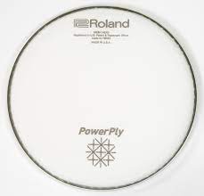 Roland 8-Inch Mesh Head