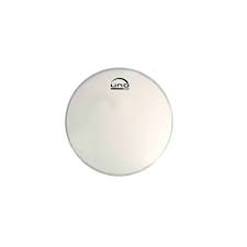 EVANS 13-Inch Clear Vellum