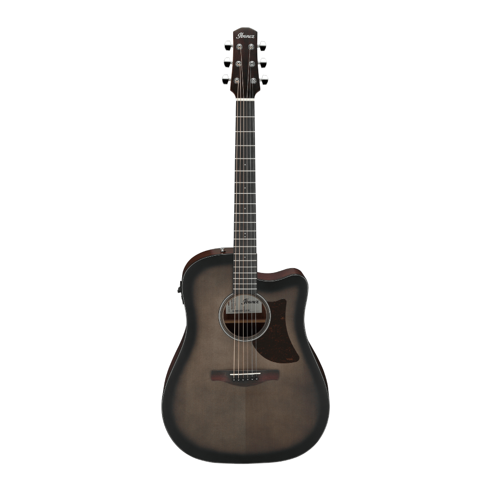 Ibanez AAD50CE-TCB