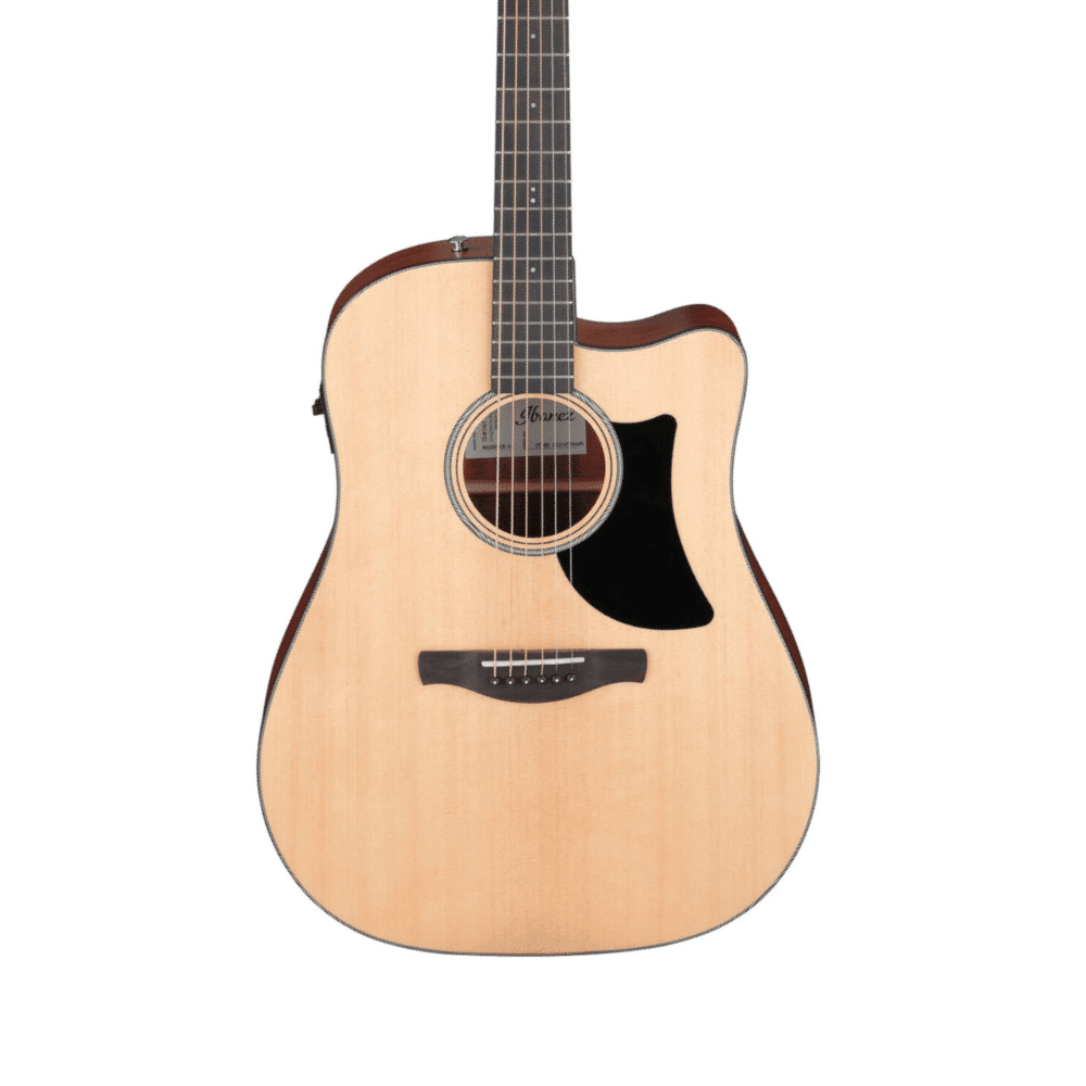 Ibanez AAD50CE-LG
