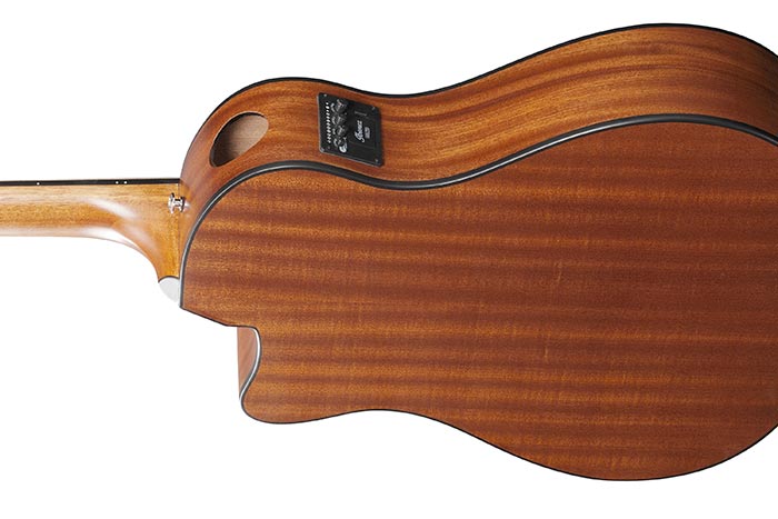 Ibanez AAM54CE-OPN