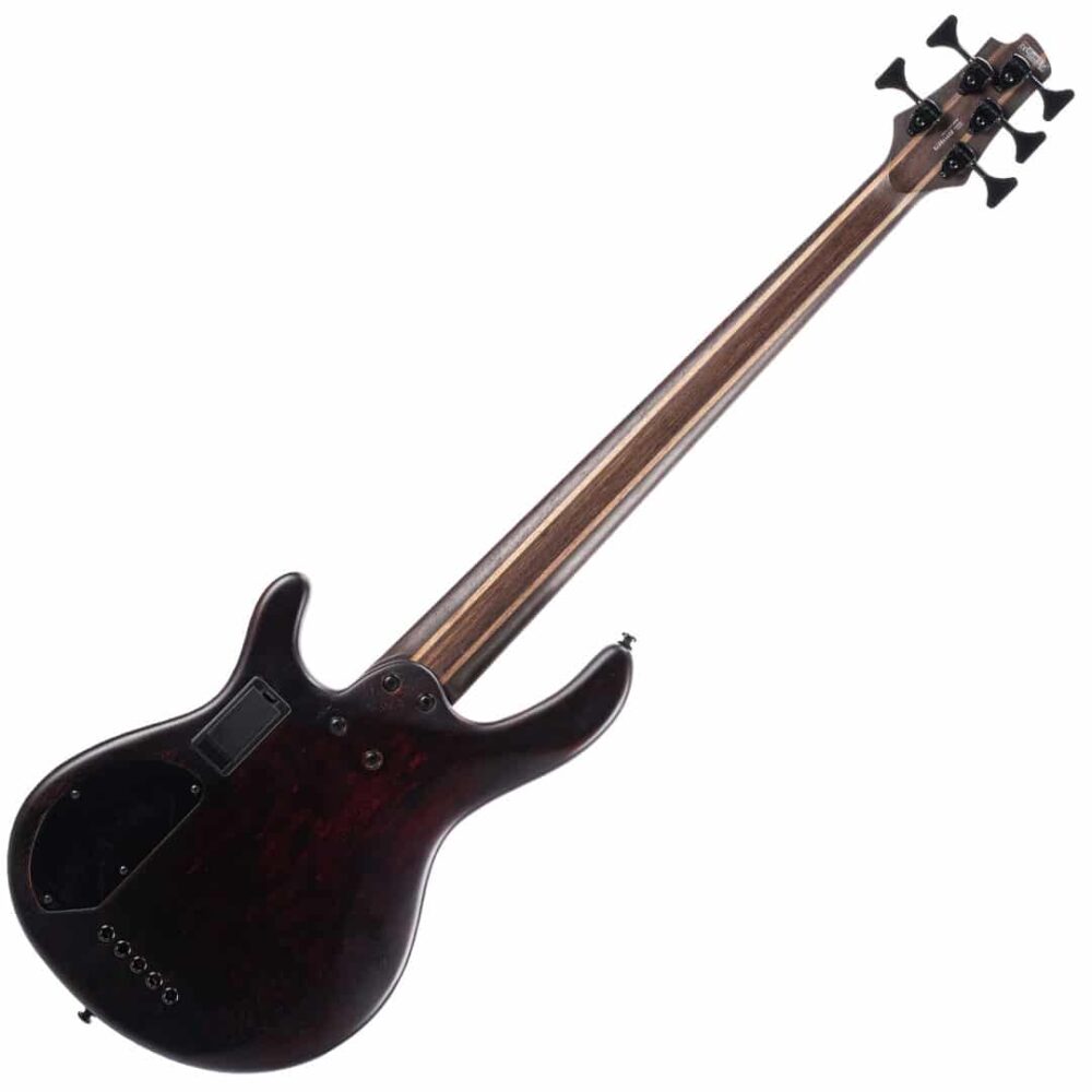 Cort Artisan B5 Element