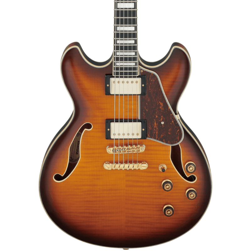 Ibanez Artcore Expressionist