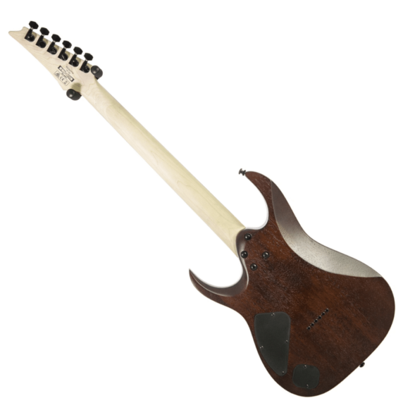 Ibanez RGA42FM Electric Guitar