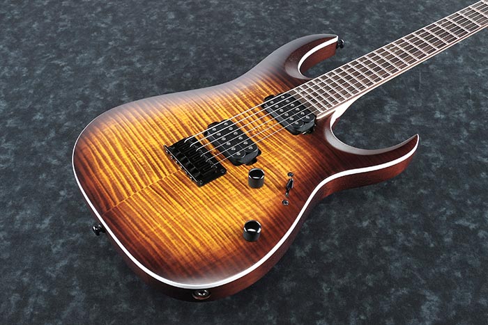 Ibanez RGA42FM Electric Guitar
