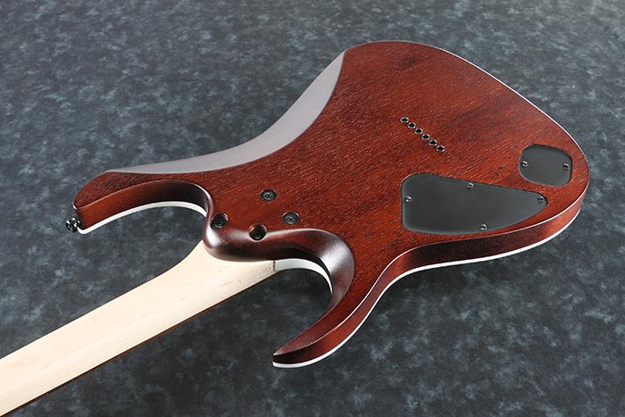 Ibanez RGA42FM Electric Guitar